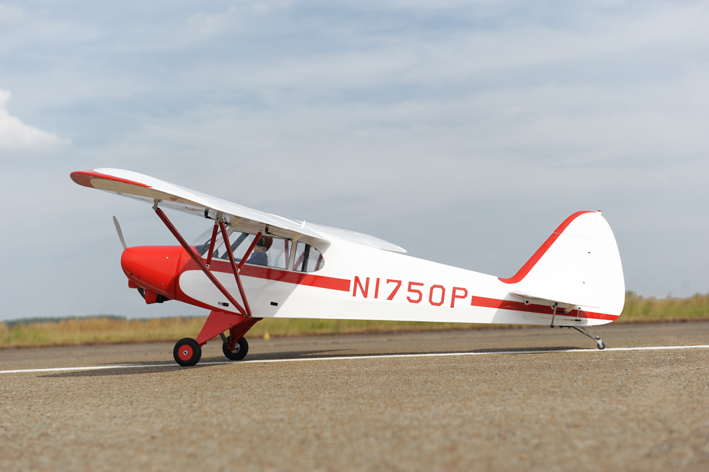 Phoenix Model Super Cub PA-18 30cc Gas/EP ARF 107" - 1:4