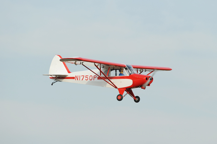 Phoenix Model Super Cub PA-18 30cc Gas/EP ARF 107" - 1:4
