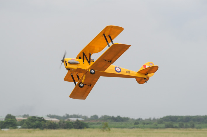 Phoenix Model Tiger Moth .46-.55 GP/EP ARF 55.3" - Click Image to Close