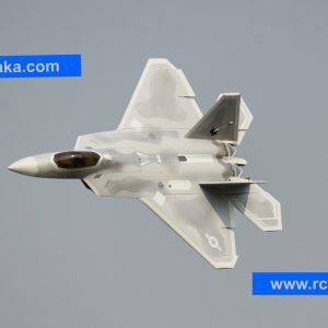 Freewing F-22 Raptor 90mm EDF Jet - PNP