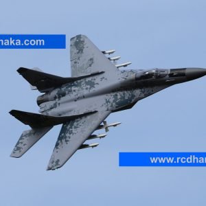 Freewing MiG-29 Fulcrum Digital Camo Twin 80mm EDF Jet - PNP